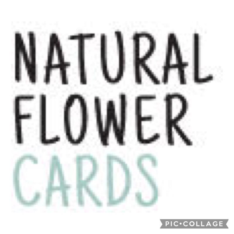 Natural Flower Cards